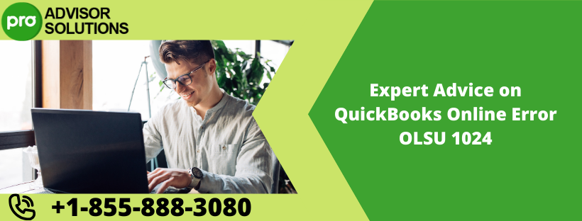 Expert Advice on QuickBooks Online Error OLSU 1024