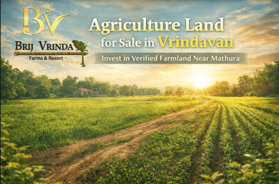 Agricultural Land for Sale in Vrindavan: Invest in Nature, Peace & Prosperity with The Cub Farm