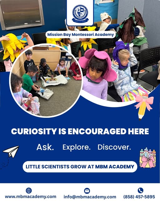 Montessori Education: A Path to Lifelong Learning