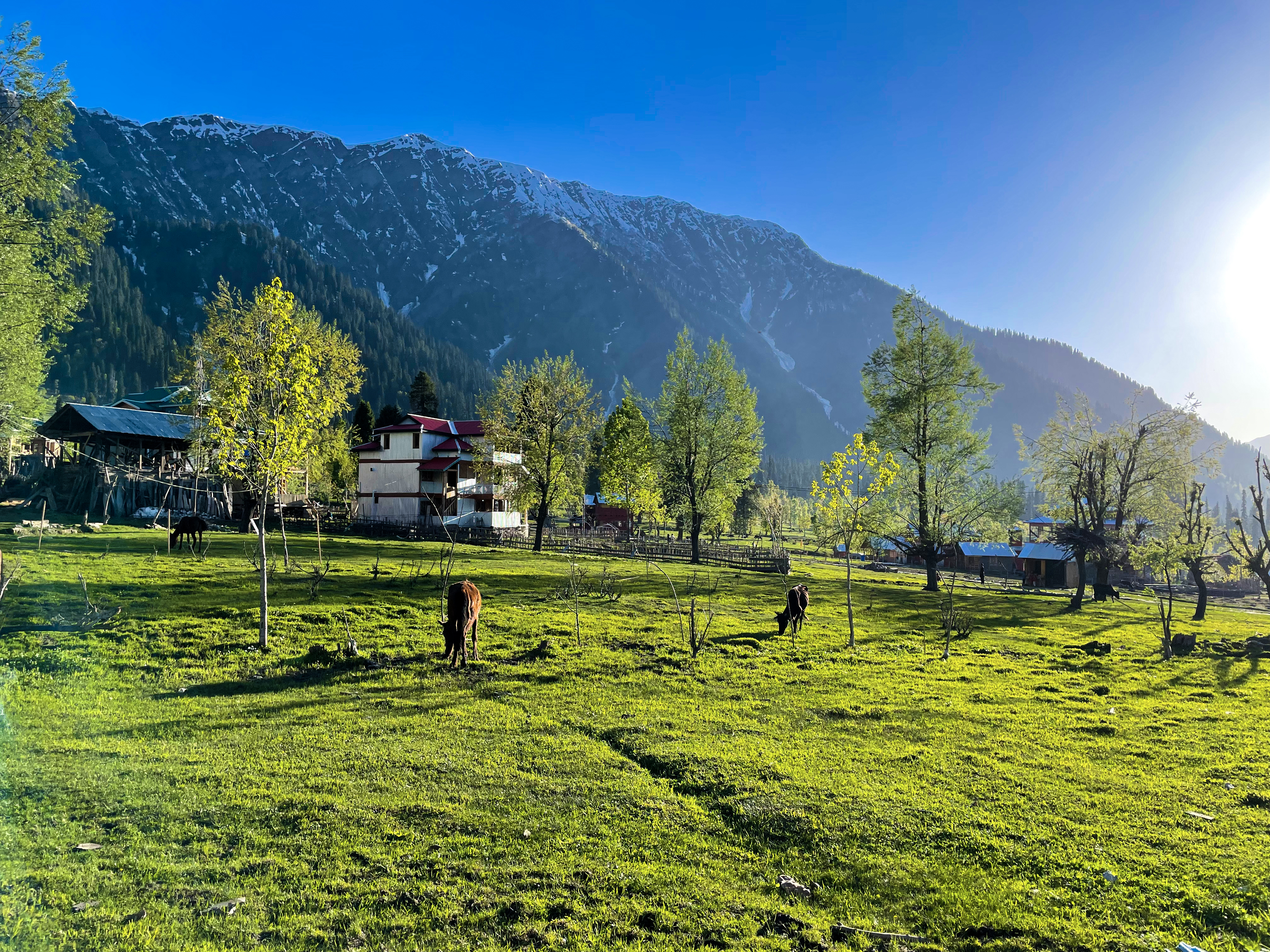Top Romantic Things Honeymooners Can Do in Srinagar, Sonmarg, Gulmarg & Pahalgam