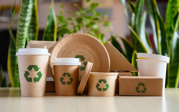 How the GCC Packaging Market Is Evolving with Changing Consumer and Industrial Demand
