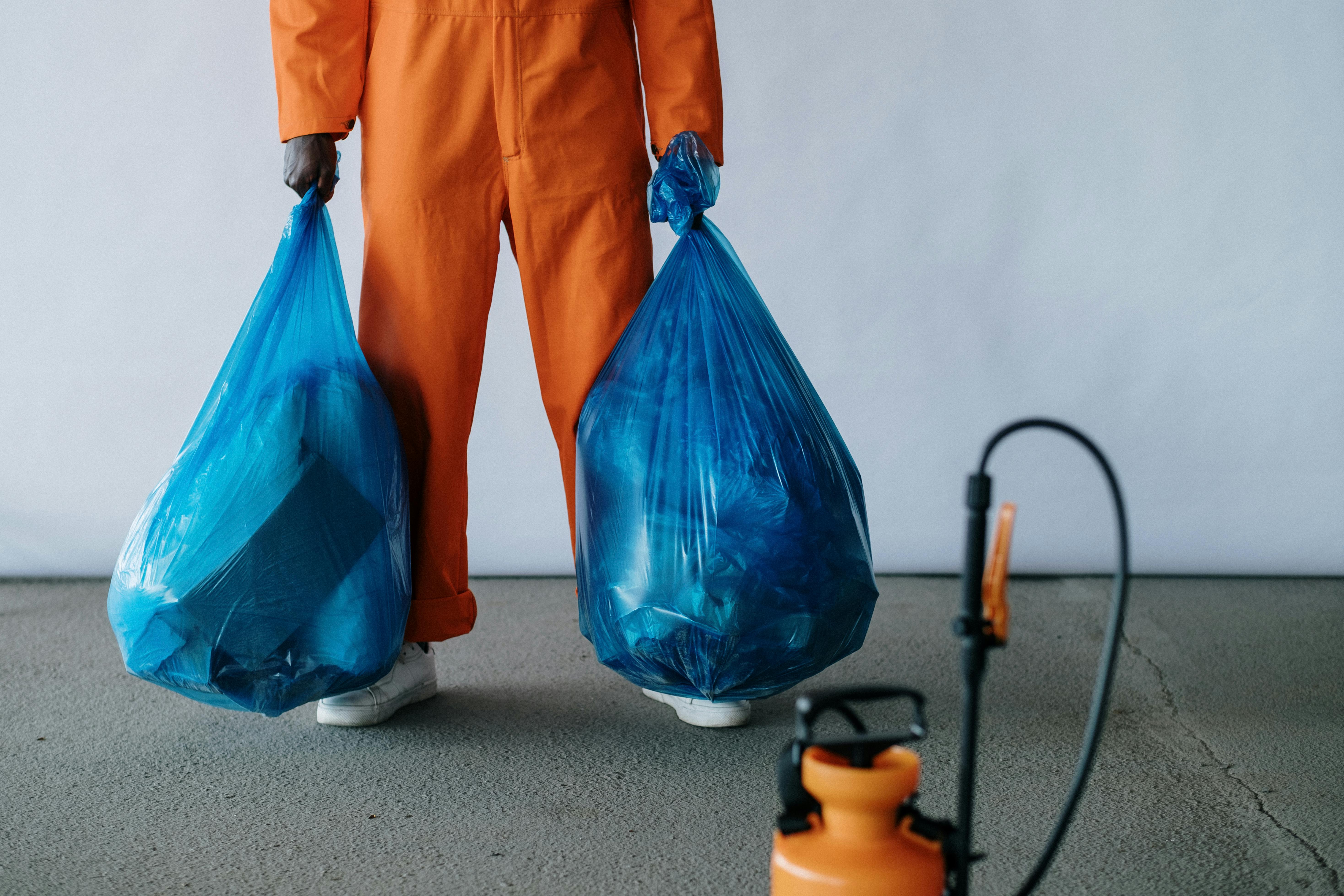 Mold Removal Services That Address Hidden Mold Problems