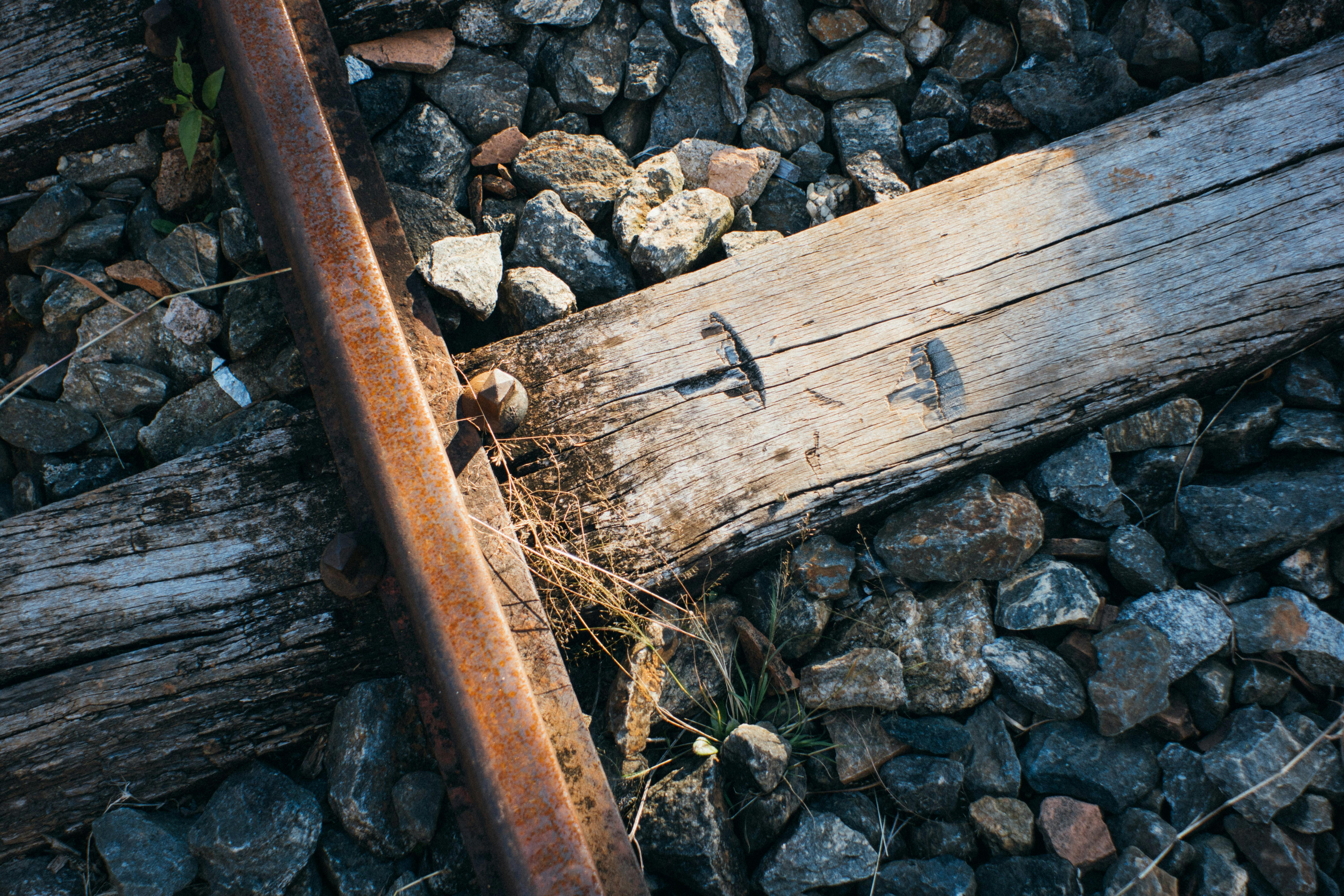 Why Railroad Ties Services Are Essential for Long-Lasting Outdoor Structures