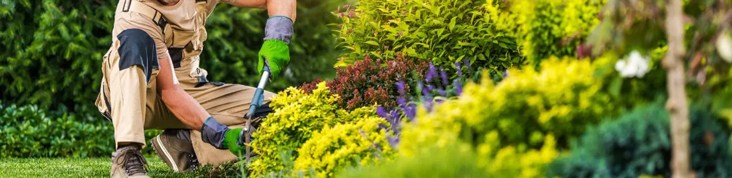 MGMO MAHA provides full-service property maintenance including landscaping, turf management, vegetation control, chemical programs, and snow & ice management