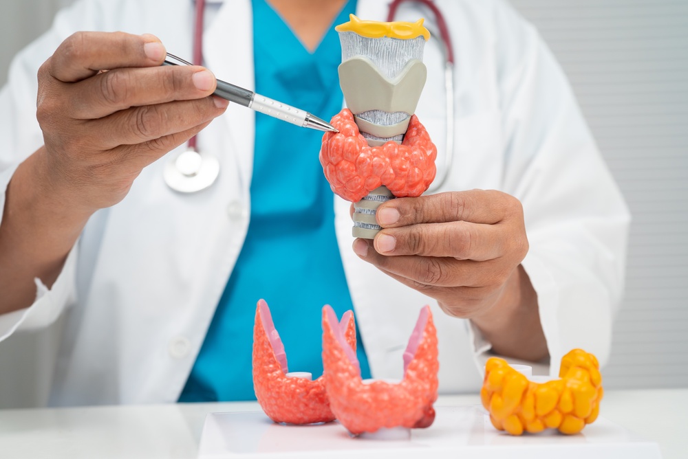 Skip the Guesswork: Personalized Thyroid Care for Real, Lasting Outcomes