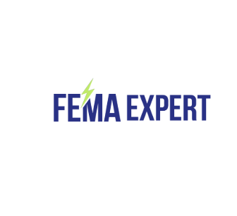 FEMA Expert: A Practical Guide to Handling FEMA in India