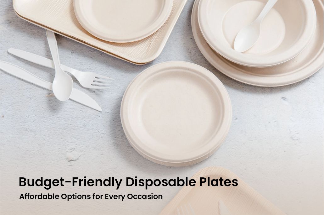 Budget-Friendly Disposable Plates: Affordable Options for Every Occasion
