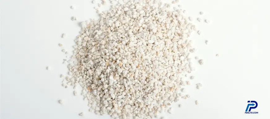 What Does Perlite Look Like? A Complete Guide Before You Buy Perlite in Bulk