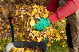 Why Regular Gutter Cleaning in Emerald Is Essential for Every Homeowner
