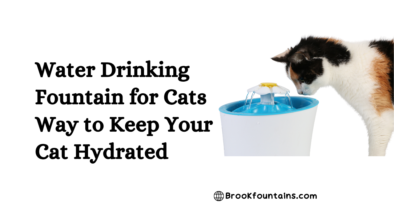 Water Drinking Fountain for Cats Way to Keep Your Cat Hydrated