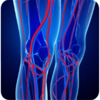 Why Choosing the Best Knee Massager for Knee Pain Can Improve Your Daily Comfort