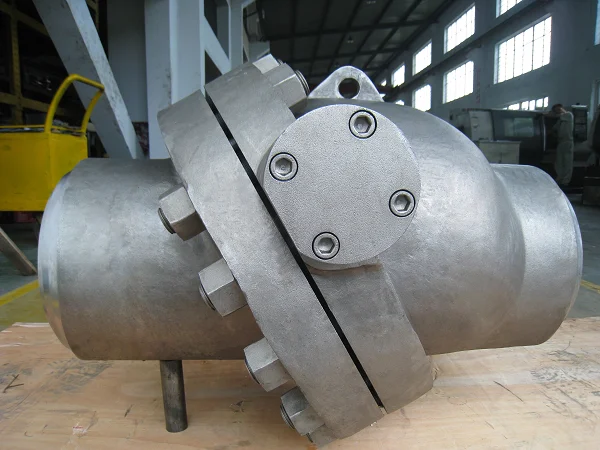 Check Valve Manufacturer in Canada