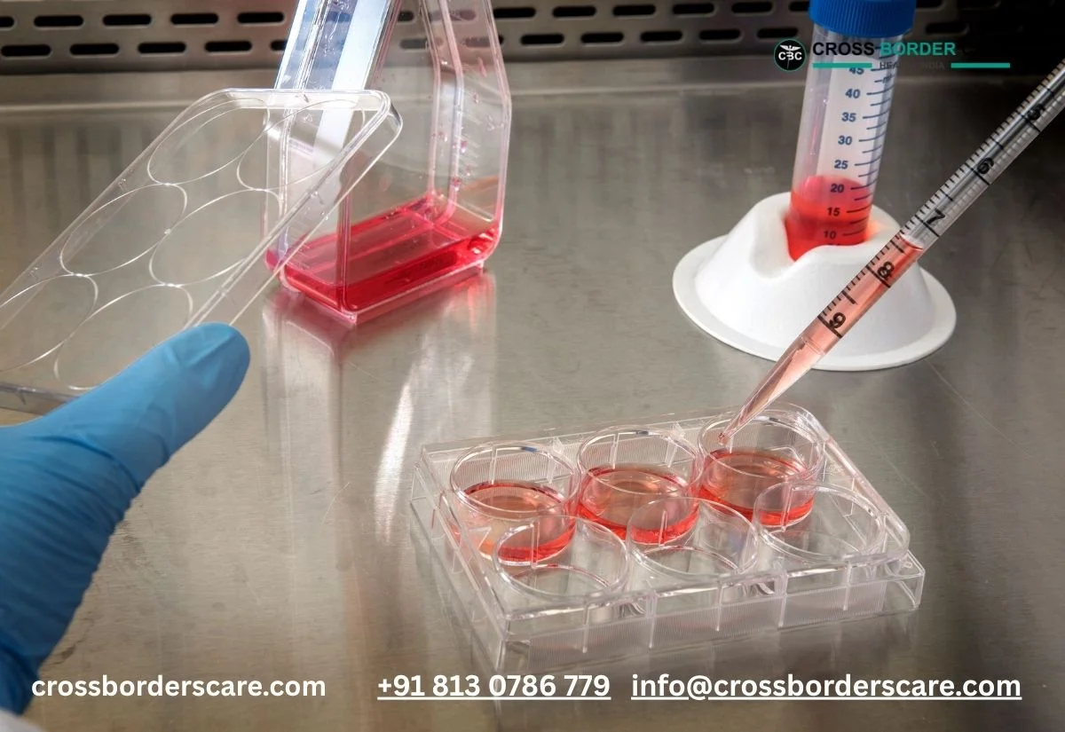 Understanding Your Bone Marrow Transplant Treatment in India | Cross Borders Care