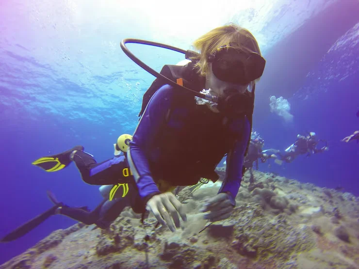 Sail Rock: Why This One Site Keeps Divers Coming Back to Koh Tao