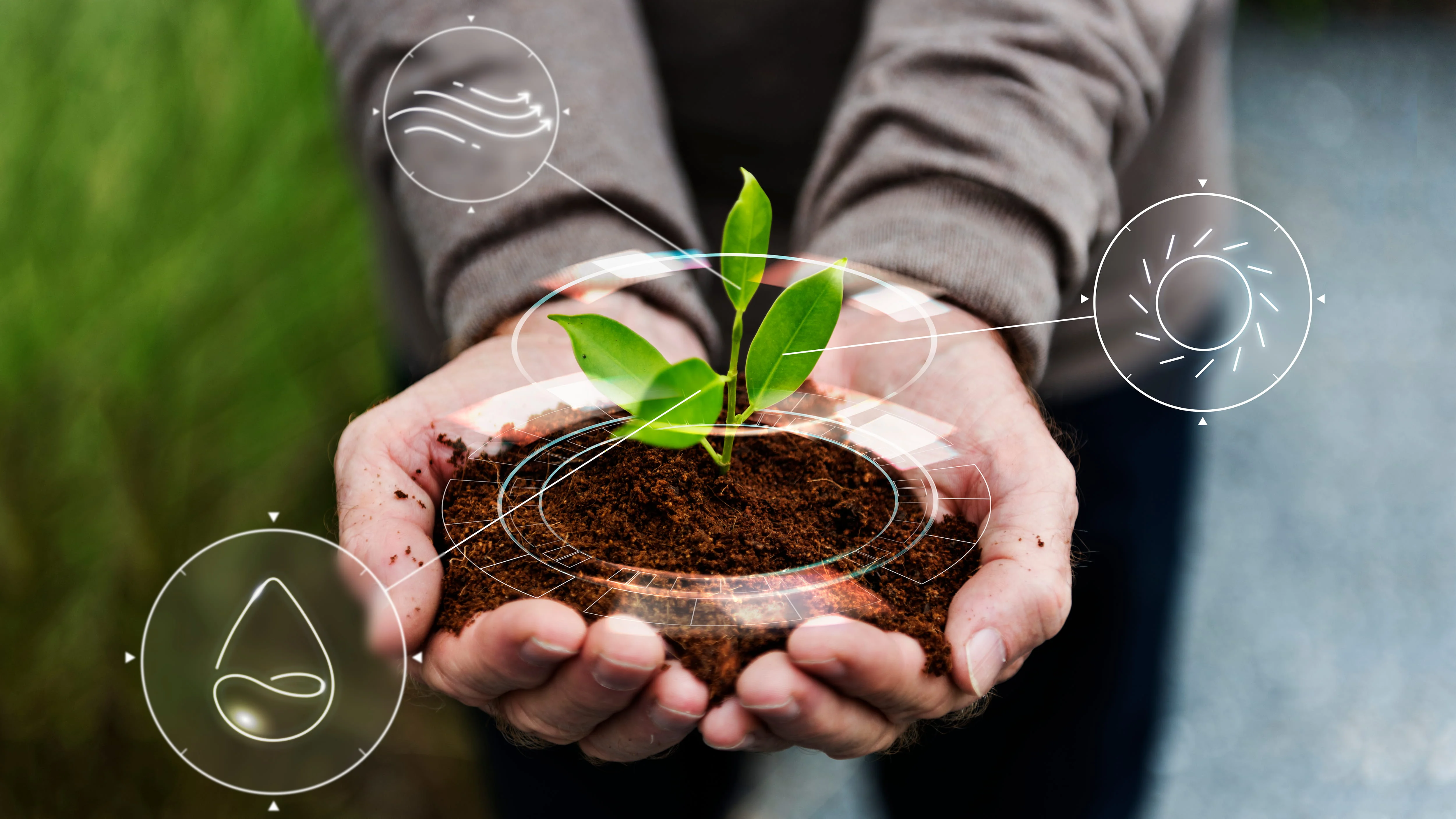 Global Regenerative Agriculture Market Outlook: Size, Trends, and Opportunities