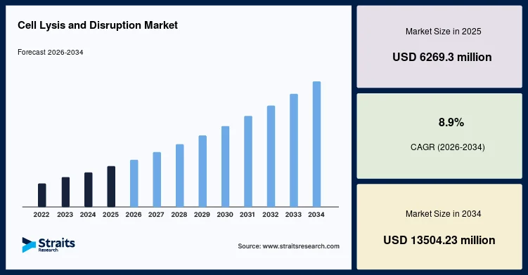 Precision Laboratory Technologies Support the Future of the Cell Lysis and Disruption Market