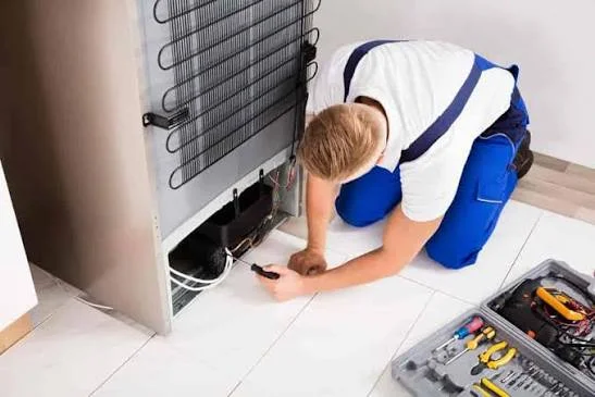 Fridge Repair in Port