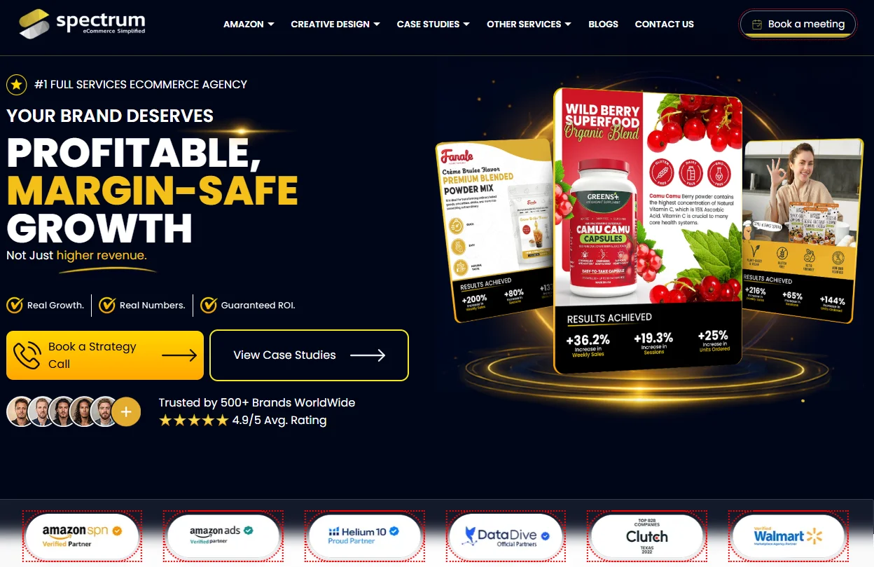 Ecommerce Business Support Services Scaled 8 Brands Past $2M