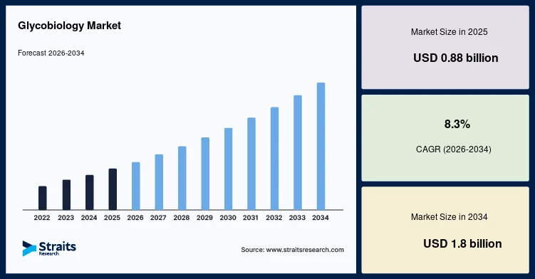 Glycobiology Market Opportunities in Precision Therapeutics