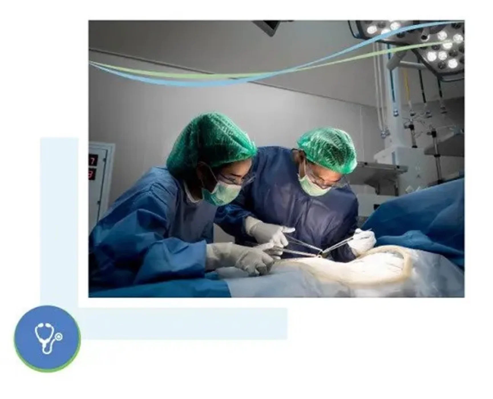 general gynaecologist