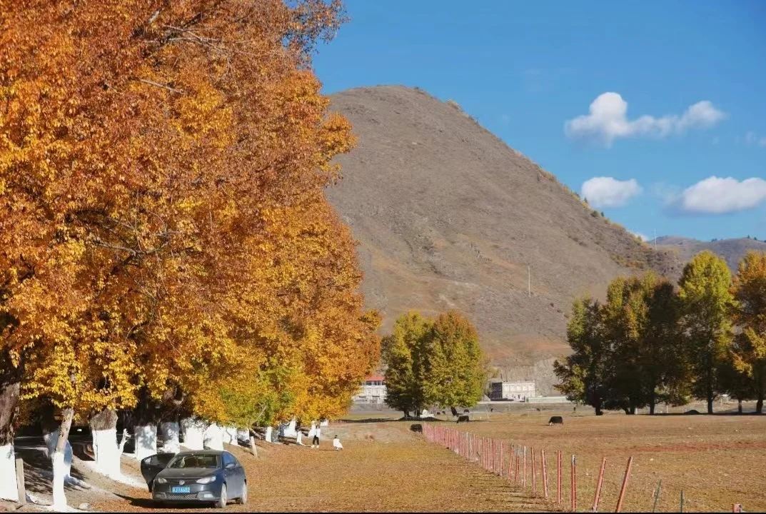 Why Traveling to Tibet Is More Than Just Visiting a Destination