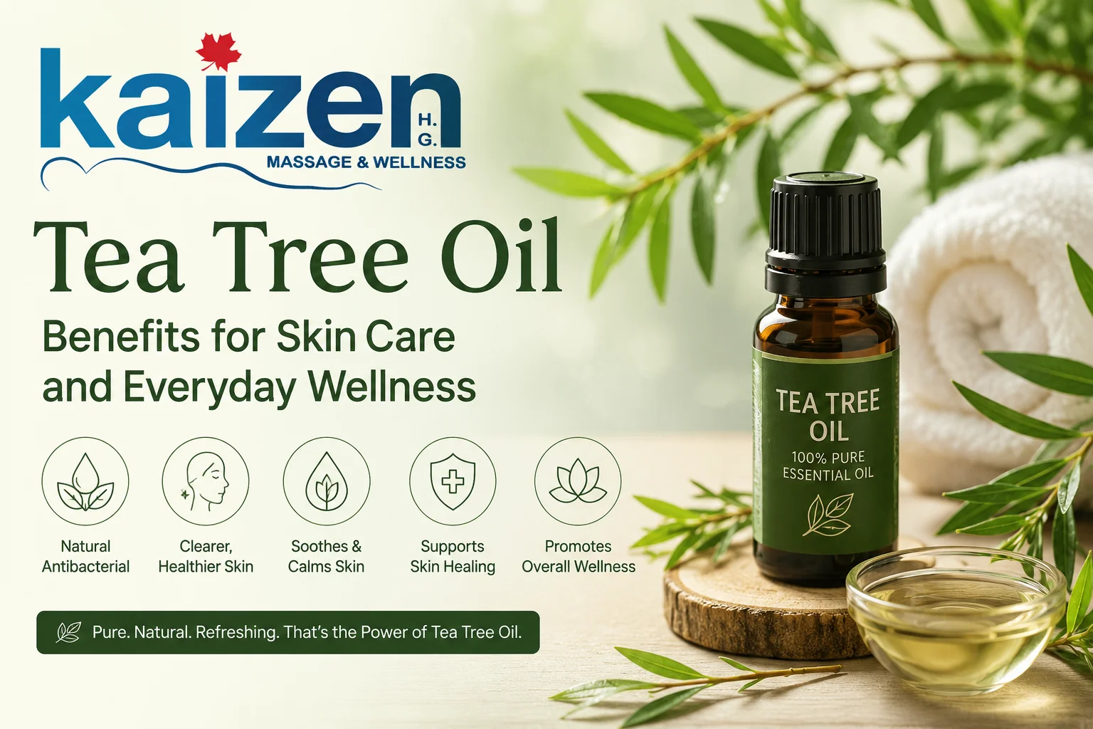 Tea Tree Oil Benefits for Skin Care and Everyday Wellness