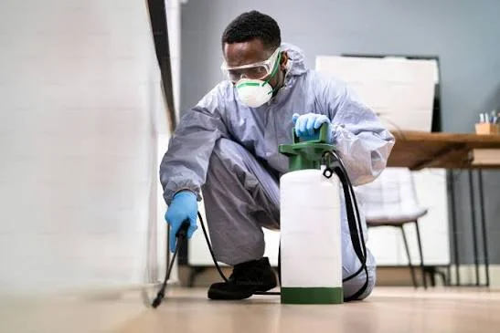 4 Operational Advantages of Scheduled Pest Prevention Services