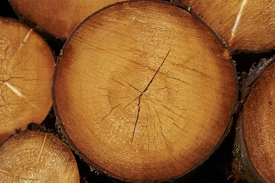 H3 Structural Pine: The Go-To Timber for Outdoor Framing Projects