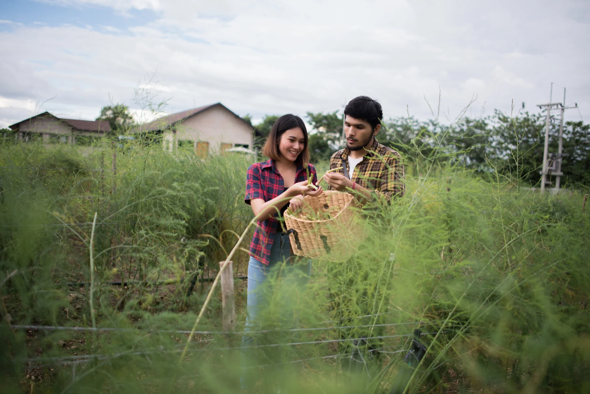 The Growing Popularity of Farm Stays in Rural Japan
