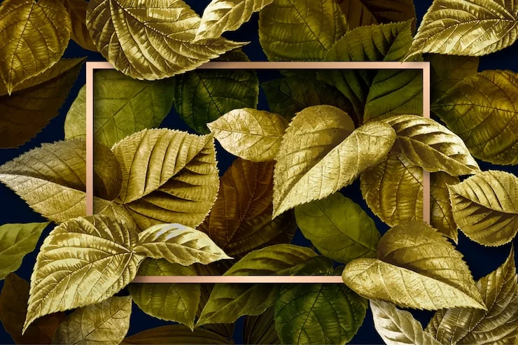 Why Decorative Painting Services Harwich MA Are Worth the Investment?