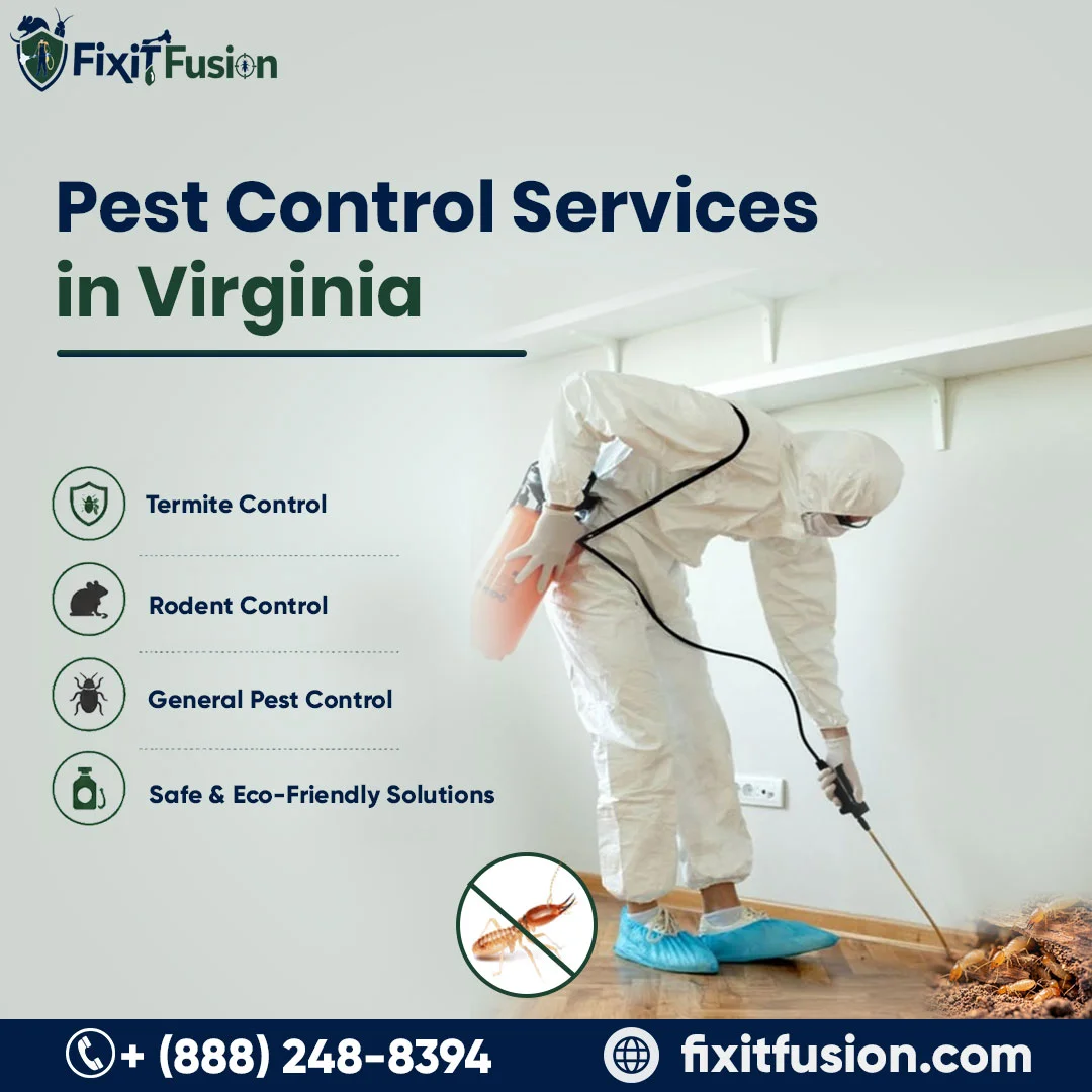 Termites in Virginia