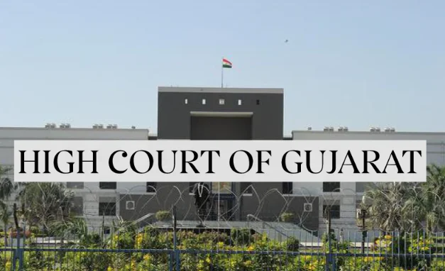 Afroz Fatta Case: Court Proceedings  and Legal Timeline Review