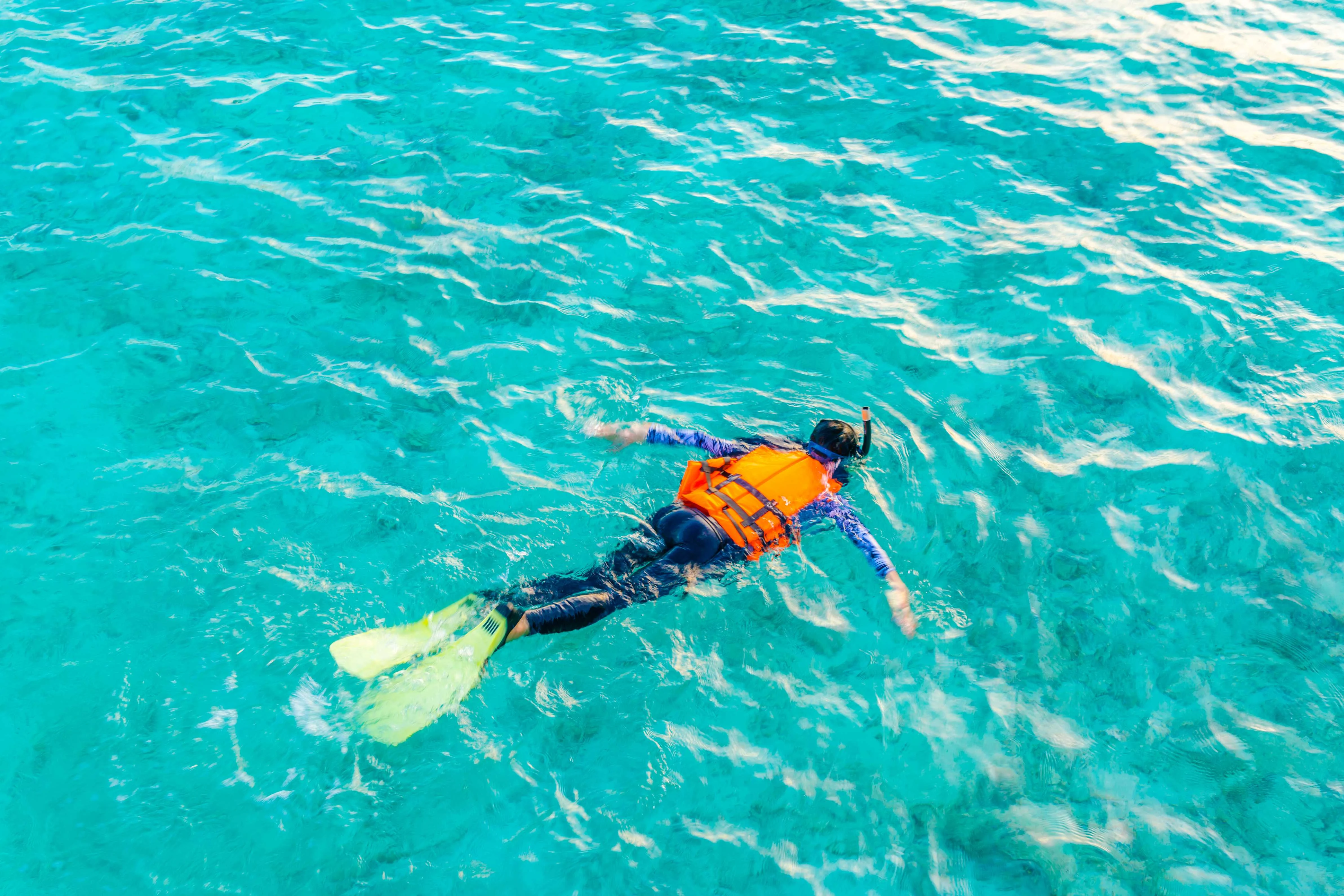 Scuba Diving Cost Thailand: A Complete Guide to Diving Prices in 2026