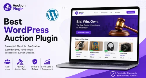 Can a WordPress Auction Plugin Make Your Online Store Better?