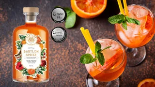Premium Non Alcoholic Wines by BeClink for Flavorful Alcohol-Free Celebrations