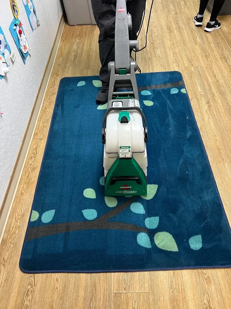 Professional Carpet Cleaning Services for a Cleaner and Healthier Home