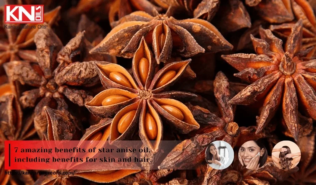 7 amazing benefits of star anise oil, including benefits for skin and hair.