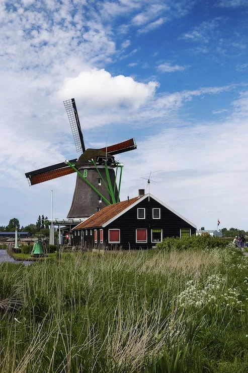 What to Consider Before Hiring Behangwerk Noord Holland Services