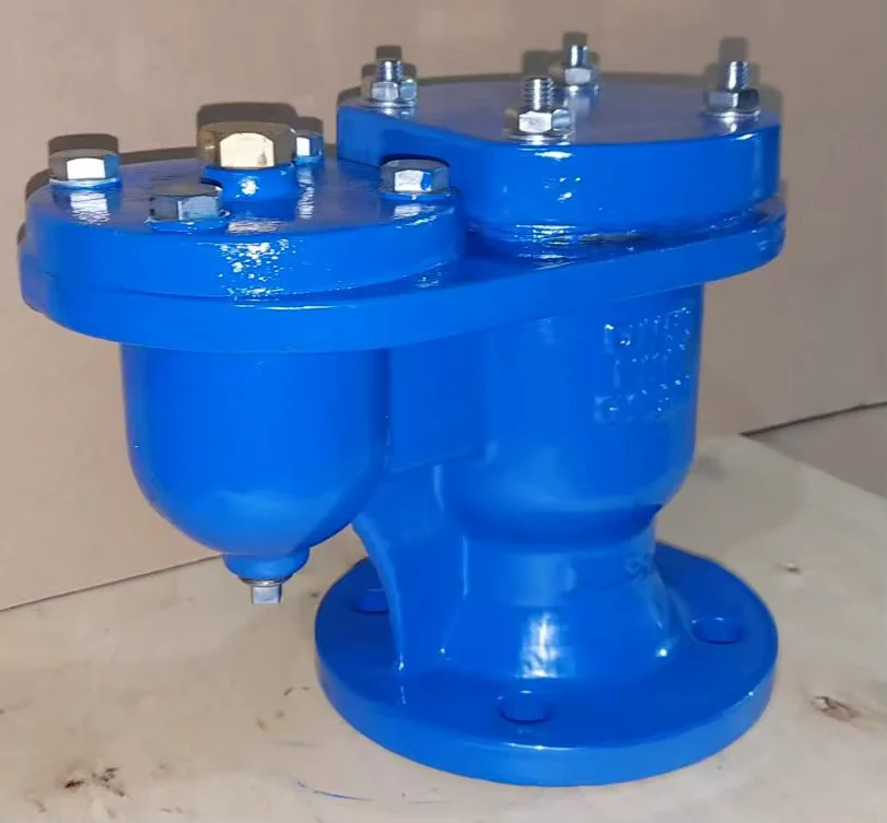 Double Orifice Air Release Valve Manufacturer in India