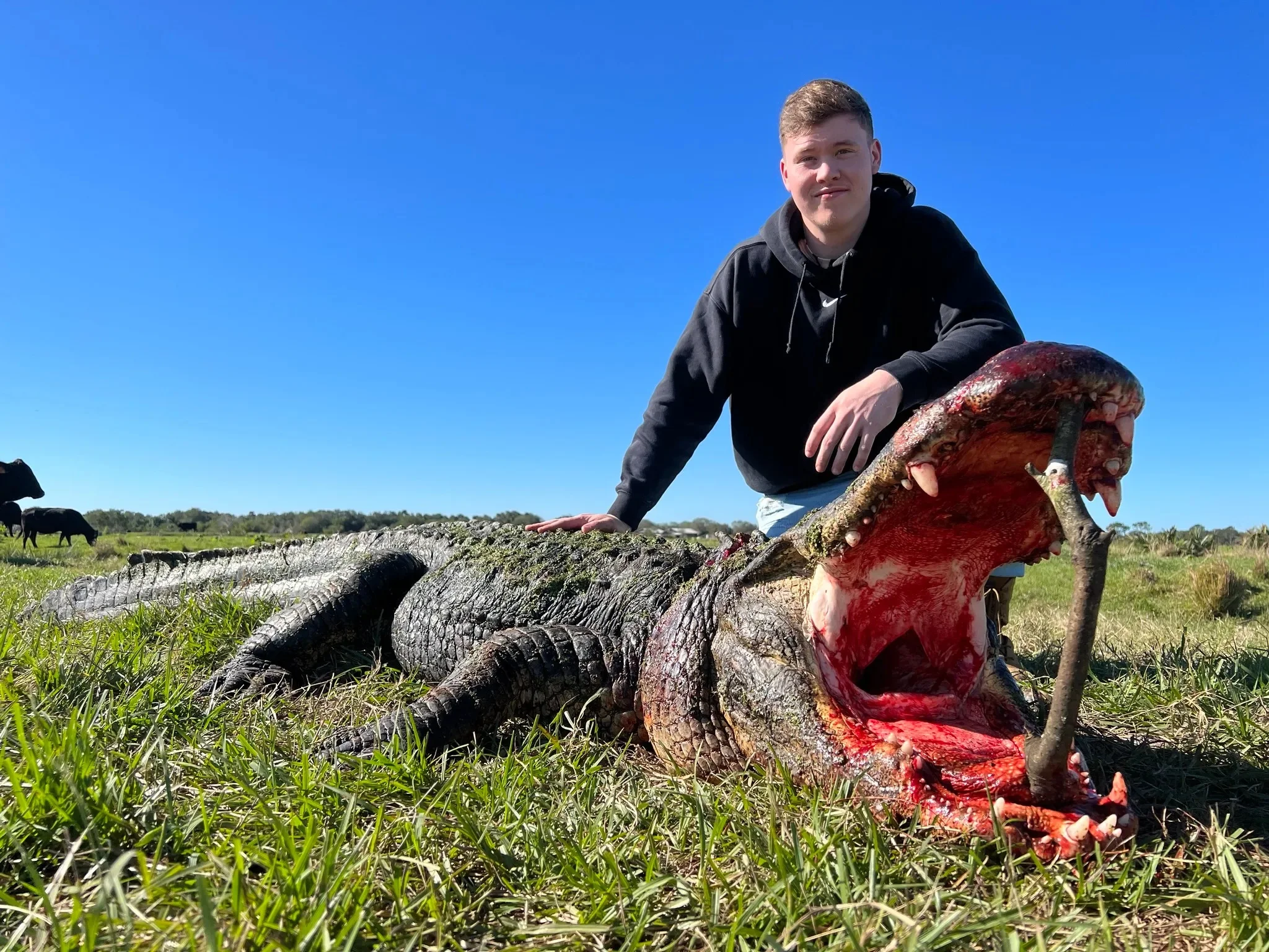 Florida Alligator Hunting Trips: Experience Your Hunt Your Way