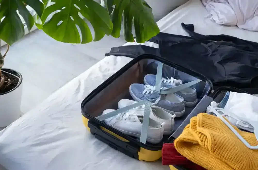 What Should You Take With You When Moving from Australia to New Zealand?