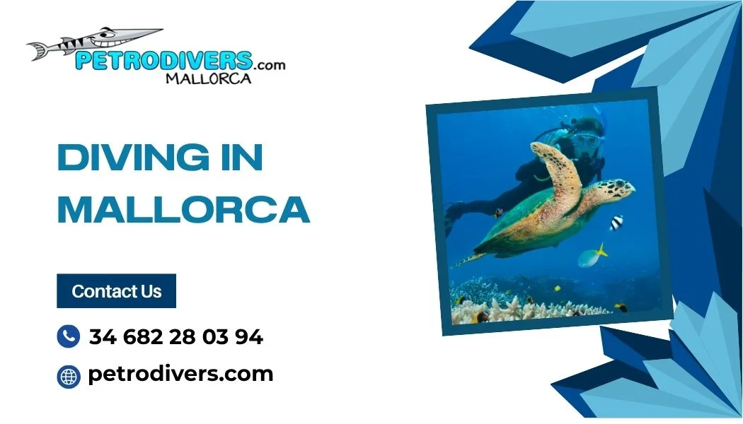 Planning to Go Diving in Mallorca? Here’s What to Know