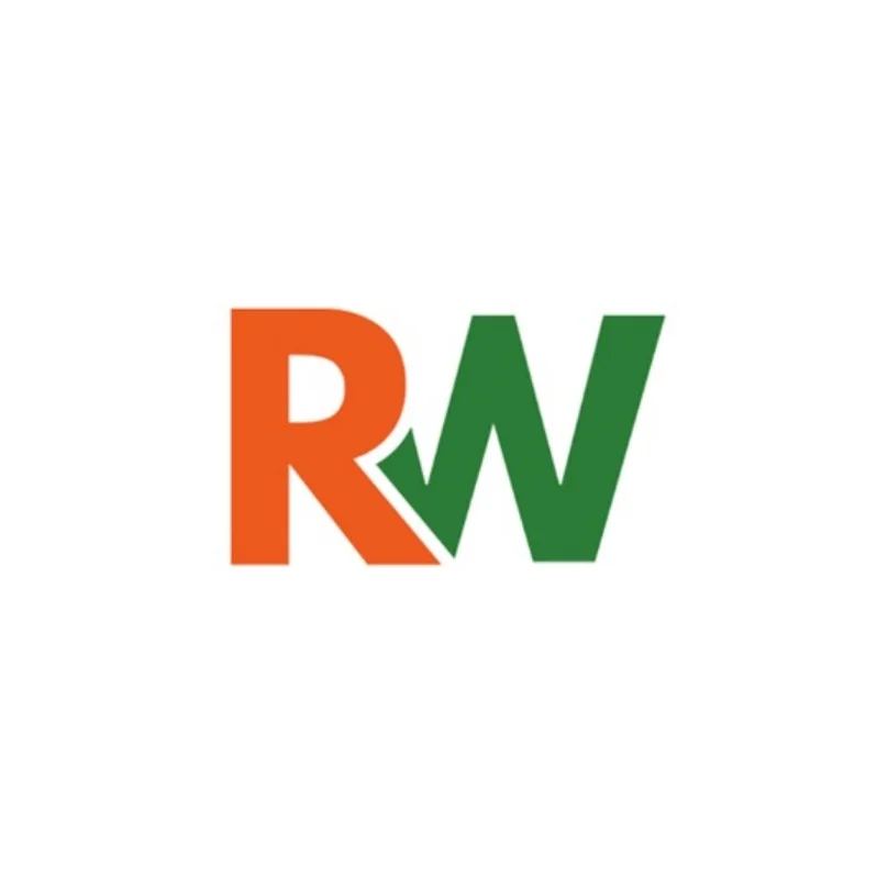 RizeWorld Portfolio: Explore Our Digital Marketing Work