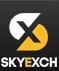 skyexchangeart