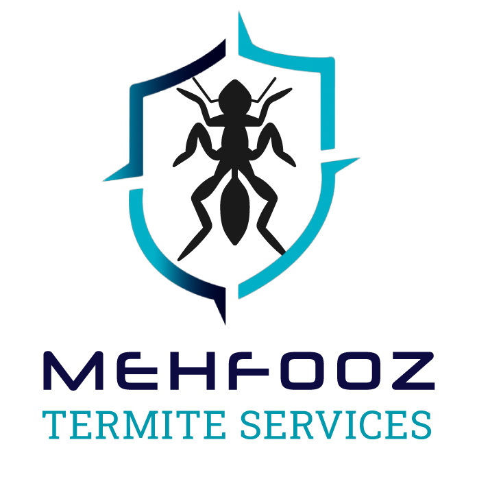 mehfooztermite11