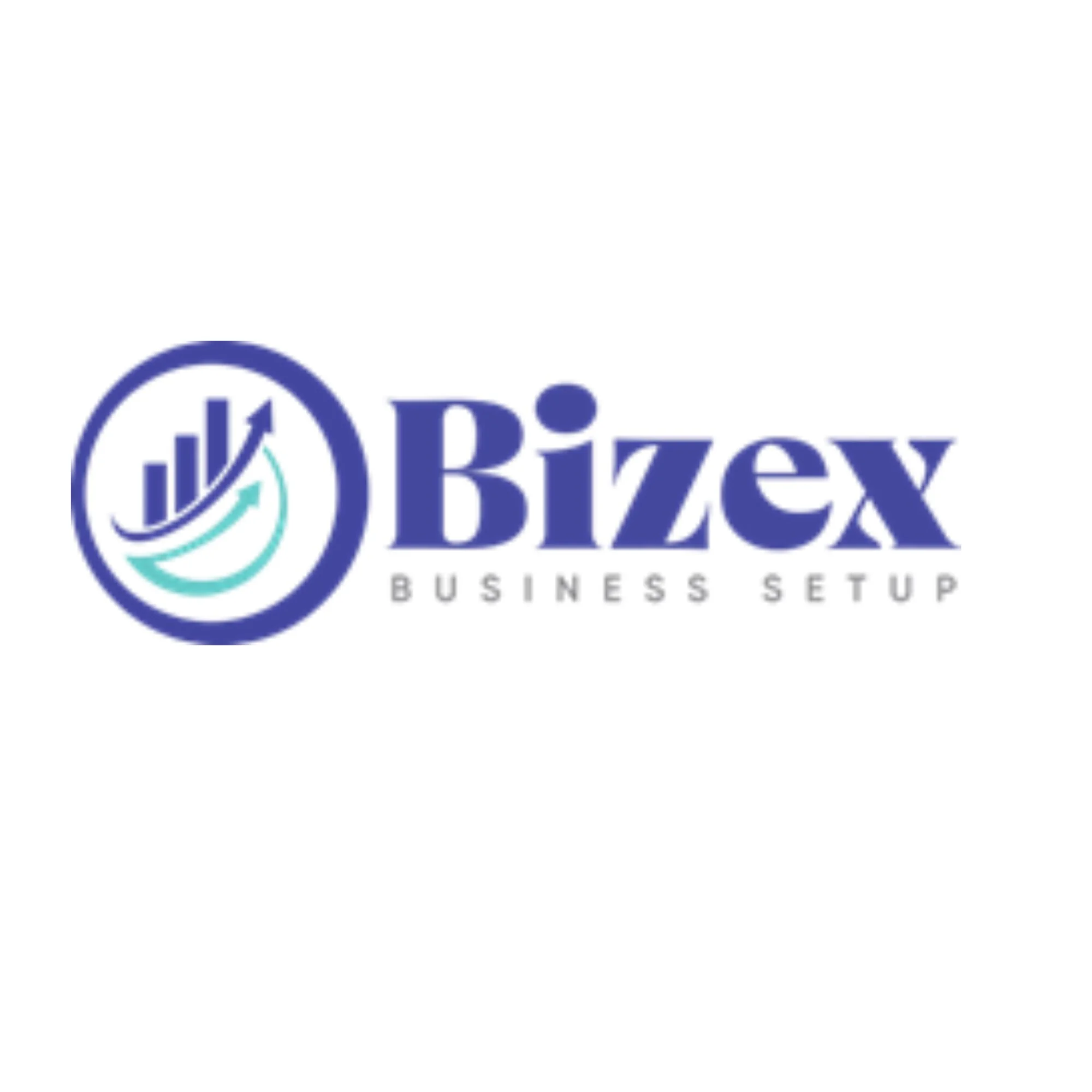 Bizexllc