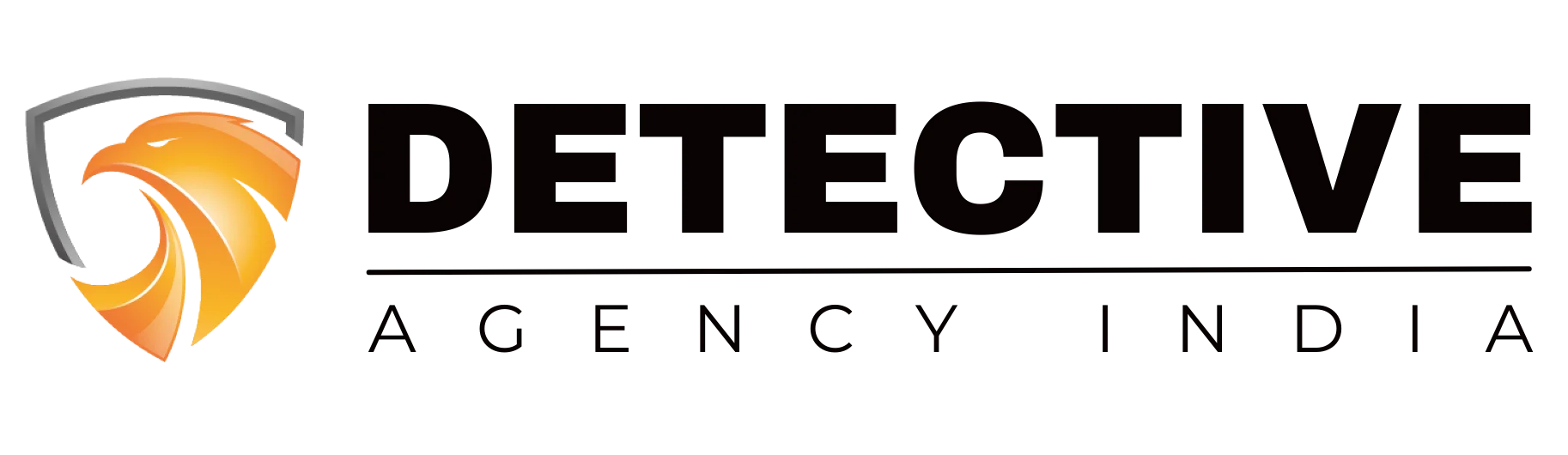 Detectiveagencyindia