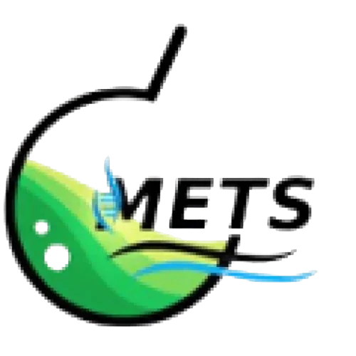 metslab