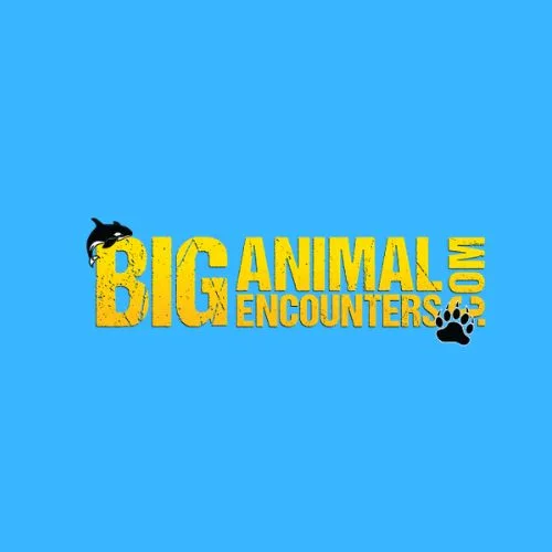 biganimalencounters