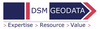 dsmsoft